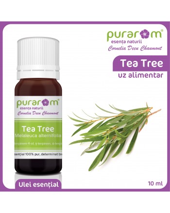 ULEI ESENTIAL DE TEA TREE – ARBRE A THÉ